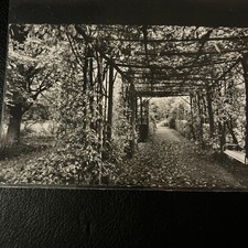 Gütersloh Botanischer Garten