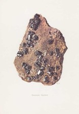 Zinnstein Kassiterit Nadelzinn Holzzinn Farbdruck von 1969 Mineralien Gesteine