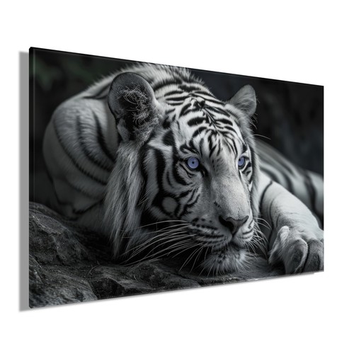 Wandbild tiger 78x118 cm - wandbild,