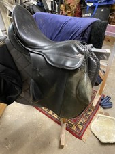 Kiefer Springsattel Norbert