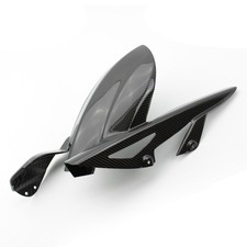 Carbon Kotflügel hinten für