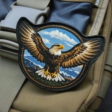 Adler Weißkopfseeadler| Klett