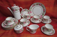 Royal Worcester Royal Garden Teetasse Kuchenteller Kaffeekanne 22 Teile tea cup