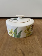 Villeroy & Boch - Amazonia