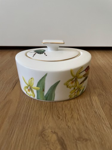 Villeroy boch amazonia - amazonia,