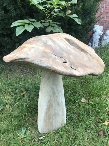 Teak wurzelholz pilz holz - wurzelholz,