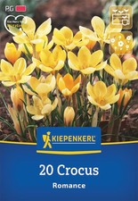 Kiepenkerl Wildkrokus Romance