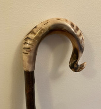 RAMS Horn Krummgriff Gehstock