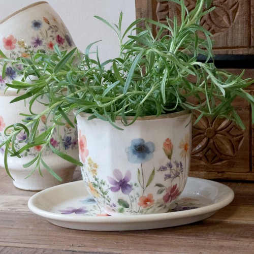 Chic antique blumentopf - chic&antique,