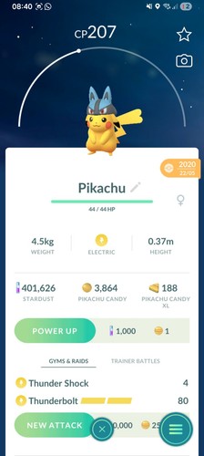 Pikachu pokemon lucario mütze - lucario,