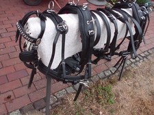 2-spänner Brustblattgeschirr