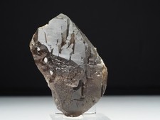 Rauchquarz, Var. Gwindel, Berner Oberlang, Tiefengletscher, Schweiz