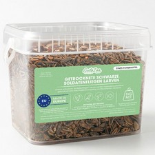 Getrocknete Schwarze