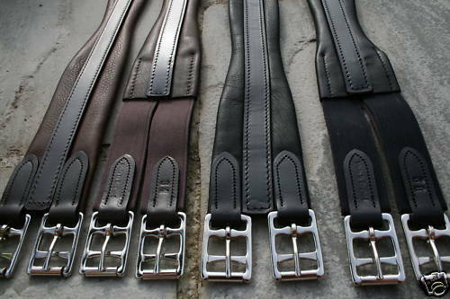Zoll pony pferd - pferd, heritage