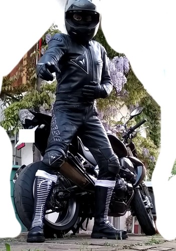 Dainese lederkombi luce - dainese,