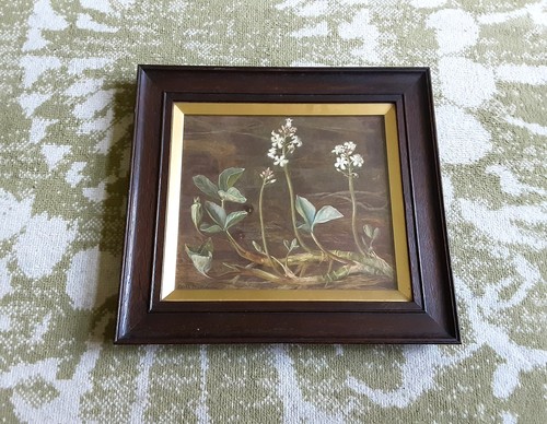 Edith martineau aquarell - martineau, um