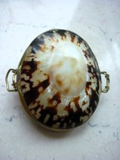 Antike Muscheldose - Schmuckdose