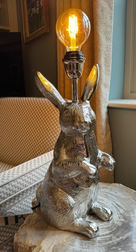 Hase tisch - hase,