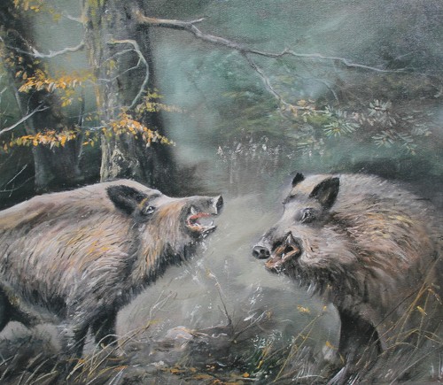 Keiler schwarzwild kunstdruck - schwarzwild,