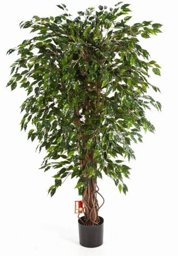 Künstlicher ficus baum 210 - ficus-baum,