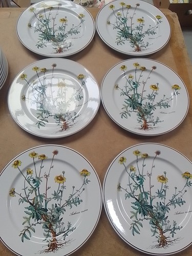 Villeroy und boch - boch, botanica