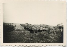 Z2906 Foto Russland 1941 WH Panzer II Kennung ID Turmnummer gefangene Soldaten