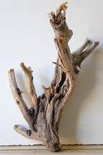 Treibholz Schwemmholz