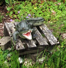 Großes krokodil mit offenem - großes,