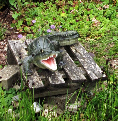 Großes krokodil mit - großes,