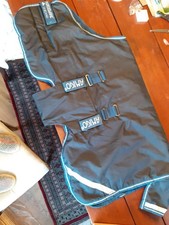 Mini Shetty, Decken, Halfter