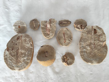Aus einer Auflösung: 10 Pflanzen Fossilien als Konvolut ca 2,6kg (Nr.36)