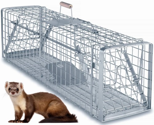 Fuchsfalle waschbärfalle - fuchsfalle,