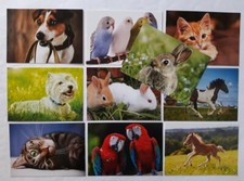 Ansichtskarten tiere 10er - tiere,