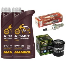 Inspektion Set 2L Öl