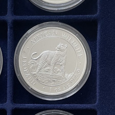 1 oz silber Somalia Leopard 2022