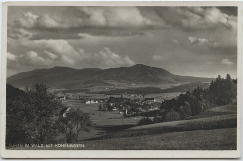 8492 furth wald mit - ak,