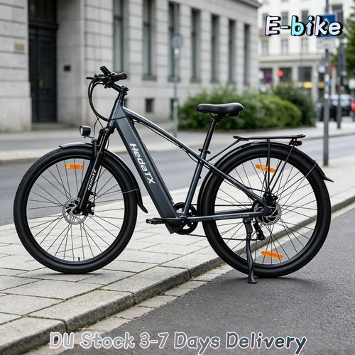 500w 16ah elektrofahrrad - 500w, 29