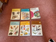 Katze Hund und bunte Fische