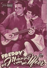 NFP 1410 | rot | FREDDY, DIE