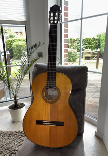 Yamaha cg142s konzertgitarre - cg142s,