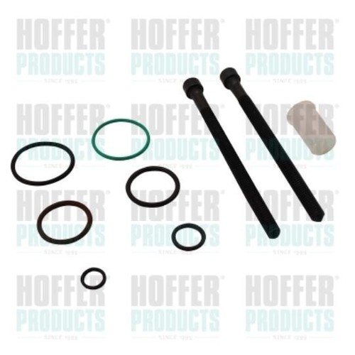 Hoffer injektor rückbau - hoffer,