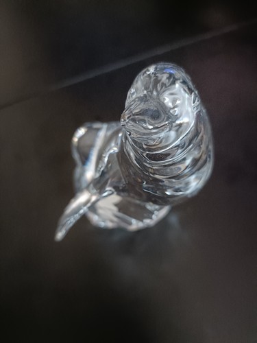 Seehund glasfigur wonders - seehund,