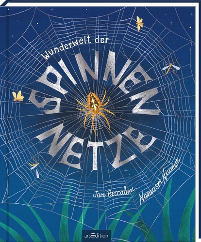 Wunderwelt der spinnennetze - spinnennetze, |