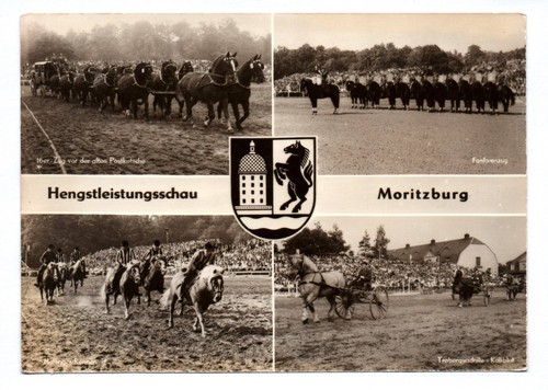 Hengstleistungsschau - ak,