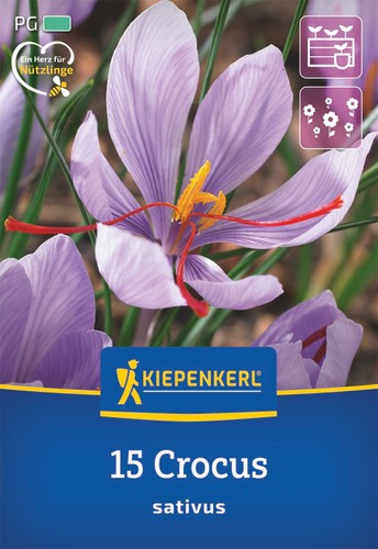 Safrankrokus stück - safrankrokus,, 15