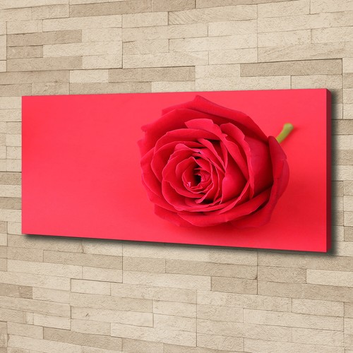 Leinwandbild kunst druck - leinwandbild, kunst-druck