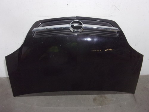 1160006 motorhaube negro - negro, /