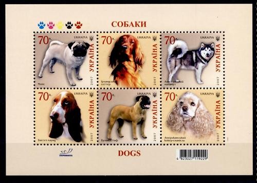 Mops setter husky basset - mops,, husky,