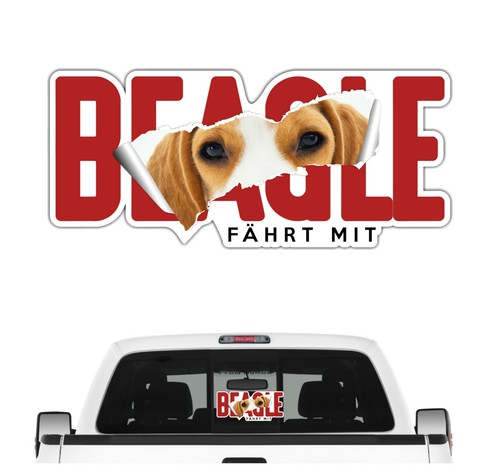Auto aufkleber beagle fährt - auto,