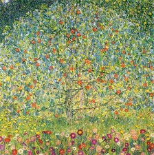Gartenapfelbaum von gustav - gartenapfelbaum,
